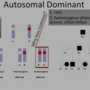 Mendelian Inheritance By B Korf OPENPediatrics