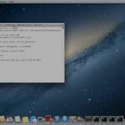 Delphi Programming Tutorial 93 Fish Facts For IOS