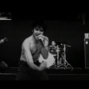 Mammal The Majority Official Music Video
