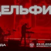 Дельфин Надежда Live Владивосток 29 10 2025