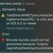 Solved Error In IOS Archive Error BitCode Bundle Could Not Be Generated Because