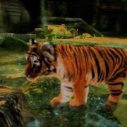 Kinectimals Official Extended Trailer