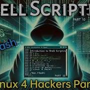 Introduction To Shell Scripting Bin Bash LINUX 4 HACKERS Course Part 10 Linux