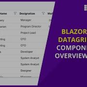 Overview Of Blazor DataGrid Component