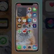 How To Fix No Sim Available On IPhone