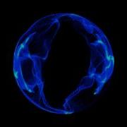 Trapcode Form Audio React With After Effects