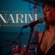 Yanarım Ateş Olurum Psychedelic Anatolian Rock Cover Evrekasound