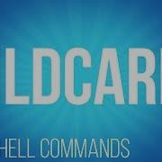 BASH Shell Commands Wildcards Commands For Linux