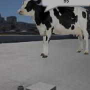 Cow Error 189