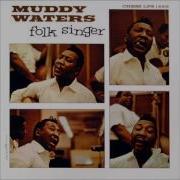 Muddy Waters My John The Conqueror Root