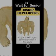 Senior Programmers Vs Junior Developers Shorts