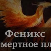 Феникс легенда о бессмертной птице