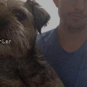 Is It A Lemon Mljs P5js Machine Learning Demo