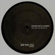 Swarm Intelligence Bury NYTI04