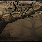 The 3rd And The Mortal Silently I Surrender Subtitulado En Español Video
