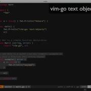 Vim Go Text Function Selection Objects