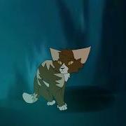 Lighthouse Warriors Cats MAP 20 21