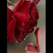 Mustafa Ceceli Es Piano Solo1