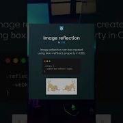 Image Reflection In Css Shorts Tech Coding Programming Html Css Webdevelopment