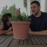 Connected To The Vine Object Lesson