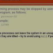 Linux Basics Killing Processes