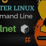 Understanding Telnet Become A Linux Pro Part 24 Master The Command Line