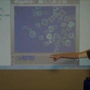 SmartMicroScope Handheld Digital Microscope Demo
