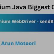 Selenium WebDriver SendKeys