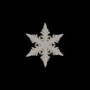 Growth Of A Snowflake