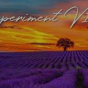 Experiment V11