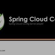 Spring Cloud Config Client Fail Fast For Remote Server Issues