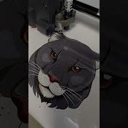 Plotter In Action Printing Printer Plotter