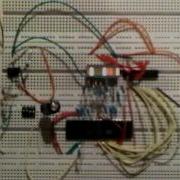 Z80 Running Nops