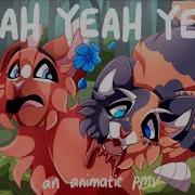 YEAH YEAH YEAH Jack Conte Finished Pmv Commission