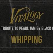 Whipping Pearl Jam Tribute By Black Circle Live From Black Circle Plays Vitalogy
