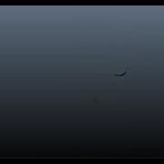 Introduction To Animation Feather Dynamics