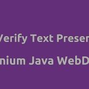 Verify Text Present Using Selenium Java