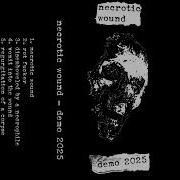 NECROTIC WOUND S T Full Demo 2025