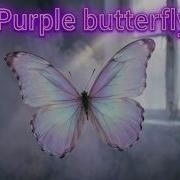 Purple Butterfly Lyrics Music By Gianni Peteani