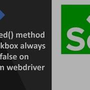 IsSelected Method For Checkbox Always Returns False On Selenium Webdriver