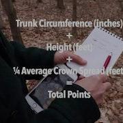 How To Determine The Height Of A Tree And The Big Tree Point Calculation