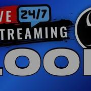 OBS Studio How To Run 24 7 Livestreams Loop Videos With VLC Plugin