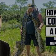 How To Catch A Snake 17 FOOT PYTHON SNAKE CAUGHT WITH BARE HANDS