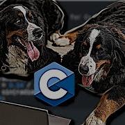 C Programming Tutorial Double Data Type