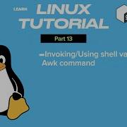 Linux Tutorial Part 13 Awk And Shell Variables