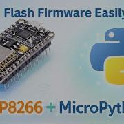 How To Flash MicroPython Firmware On ESP8266 Step By Step Tutorial