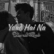 Yaad Hai Na Slow Reverb AD