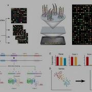 Summer Virtual Training In Bioinformatics And Data Science