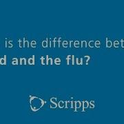 Differences Between A Cold And The Flu With Dr Vivian Tran Ask The Expert