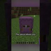 Shulker Chest